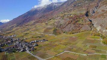 Valais vino región de suiza mas grande viñedo y vino producción zona video