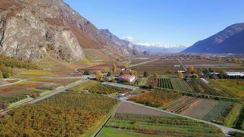 valaisan du vin Région la suisse le plus grand vignoble et du vin production zone video