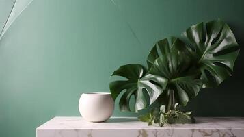 Negligible, advanced white marble stone counter table, tropical monstera plant tree in daylight on green divider foundation for extravagance new natural corrective. photo