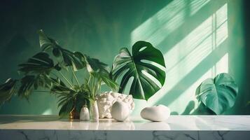 Unessential, advanced white marble stone counter table, tropical monstera plant tree in daylight on green divider foundation for extravagance advanced characteristic accommodating. photo