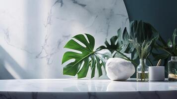 Unessential, advanced white marble stone counter table, tropical monstera plant tree in daylight on green divider foundation for extravagance advanced characteristic obliging. photo
