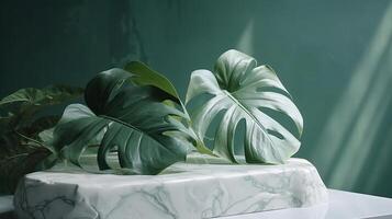 Unessential, progressed white marble stone counter table, tropical monstera plant tree in sunshine on green divider establishment for luxury progressed characteristic therapeutic. photo
