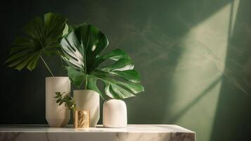 Unessential, progressed white marble stone counter table, tropical monstera plant tree in sunshine on green divider establishment for luxury progressed characteristic therapeutic. photo
