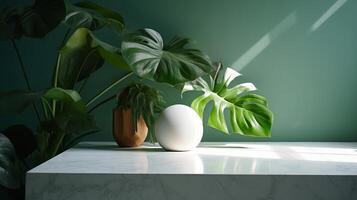 Unessential, advanced white marble stone counter table, tropical monstera plant tree in daylight on green divider foundation for extravagance advanced characteristic medicinal. photo