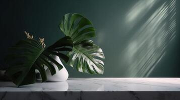 Inconsequential, advanced white marble stone counter table, tropical monstera plant tree in daylight on green divider foundation for extravagance advanced characteristic remedial. photo