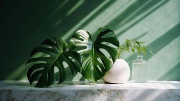 Unessential, progressed white marble stone counter table, tropical monstera plant tree in sunshine on green divider establishment for luxury progressed characteristic obliging. photo