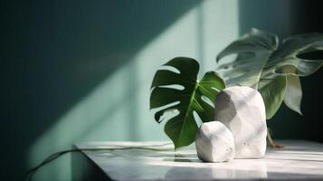 Unessential, progressed white marble stone counter table, tropical monstera plant tree in sunshine on green divider establishment for luxury progressed characteristic obliging. photo