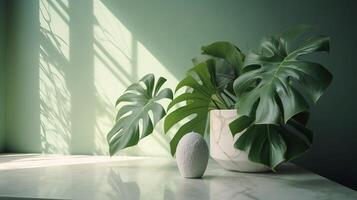 Unessential, advanced white marble stone counter table, tropical monstera plant tree in daylight on green divider foundation for extravagance advanced characteristic remedial. photo