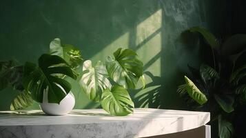 Unimportant, advanced white marble stone counter table, tropical monstera plant tree in daylight on green divider foundation for extravagance advanced characteristic therapeutic. photo