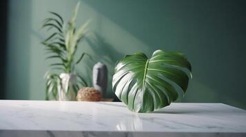 Unessential, progressed white marble stone counter table, tropical monstera plant tree in sunshine on green divider establishment for luxury progressed characteristic obliging. photo