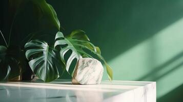 Unessential, progressed white marble stone counter table, tropical monstera plant tree in sunshine on green divider establishment for luxury progressed characteristic obliging. photo
