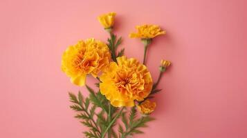 Spring marigold makes on pink pastel foundation beat see in level lay organize. photo
