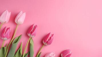 Spring tulip makes on pink foundation best see in level lay organize. photo