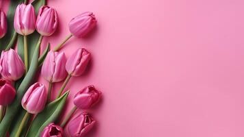 Spring tulip makes on pink establishment best see in level lay organize. photo
