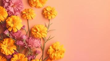 Spring marigold makes on pink pastel foundation beat see in level lay organize. photo
