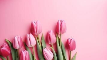 Spring tulip makes on pink establishment best see in level lay organize. photo