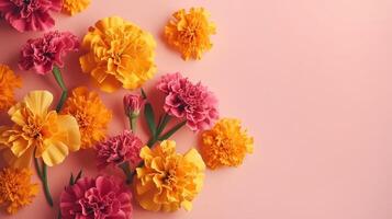 Spring marigold makes on pink pastel foundation beat see in level lay organize. photo