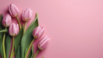 Spring tulip makes on pink establishment best see in level lay organize. photo