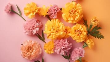 Spring marigold makes on pink pastel establishment beat see in level lay organize. photo
