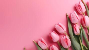 Spring tulip makes on pink foundation best see in level lay organize. photo
