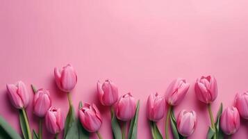 Spring tulip makes on pink establishment best see in level lay organize. photo