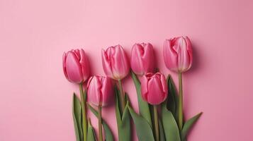 Spring tulip makes on pink establishment best see in level lay organize. photo