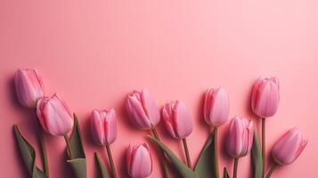 Spring tulip makes on pink establishment best see in level lay organize. photo