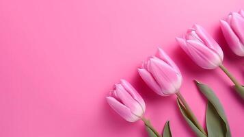 Spring tulip makes on pink foundation best see in level lay organize. photo