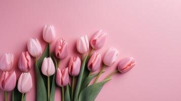Spring tulip makes on pink establishment best see in level lay organize. photo