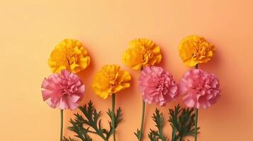 Spring marigold makes on pink pastel establishment beat see in level lay organize. photo