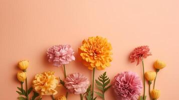 Spring marigold makes on pink pastel foundation beat see in level lay organize. photo