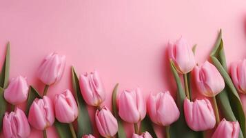 Spring tulip makes on pink foundation best see in level lay organize. photo
