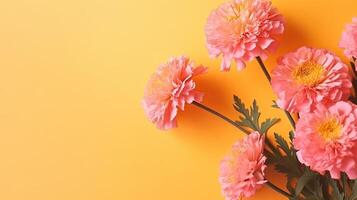 Spring marigold makes on pink pastel establishment beat see in level lay organize. photo