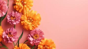 Spring marigold makes on pink pastel foundation beat see in level lay organize. photo