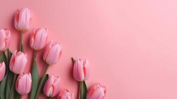 Spring tulip makes on pink foundation best see in level lay organize. photo