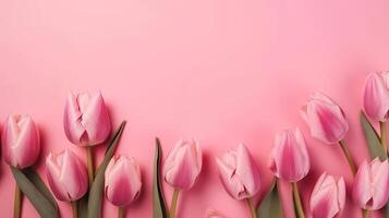 Spring tulip makes on pink foundation best see in level lay organize. photo