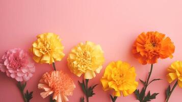 Spring marigold makes on pink pastel foundation beat see in level lay organize. photo
