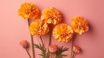 Spring marigold makes on pink pastel foundation beat see in level lay organize. photo