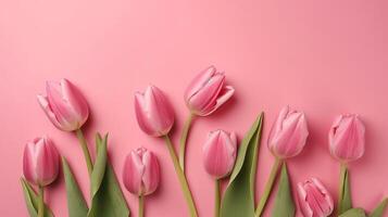 Spring tulip makes on pink establishment best see in level lay organize. photo