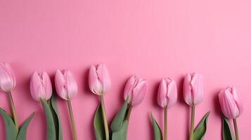 Spring tulip makes on pink foundation best see in level lay organize. photo
