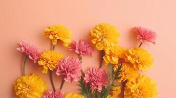 Spring marigold makes on pink pastel foundation beat see in level lay organize. photo