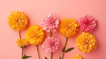 Spring marigold makes on pink pastel establishment beat see in level lay organize. photo