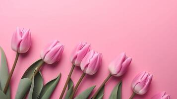 Spring tulip makes on pink foundation best see in level lay organize. photo