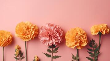 Spring marigold makes on pink pastel foundation beat see in level lay organize. photo