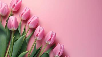 Spring tulip makes on pink foundation best see in level lay organize. photo