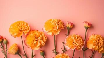 Spring marigold makes on pink pastel foundation beat see in level lay organize. photo