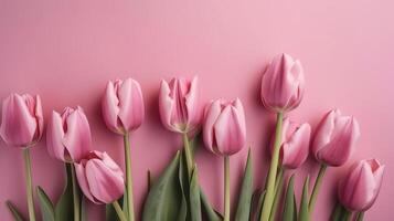 Spring tulip makes on pink establishment best see in level lay organize. photo