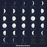 A chart of the moon review with the date of the month. 30 Day Moon Set, Moon Review. 30 Day Moon Review. Moon phases astronomy icons set, vector illustration. Isolated outline symbol.