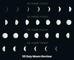 A chart of the moon review with the date of the month. 30 Day Moon Set, Moon Review. 30 Day Moon Review. Moon phases astronomy icons set, vector illustration. Isolated outline symbol.
