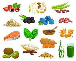 Superfoods products, healthy food seeds and fruits vector